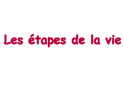 les étapes 2 la vie